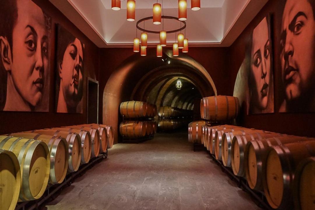 Hotel Vinicola Real-200 Monges Альбельда-де-Ирегуа Экстерьер фото