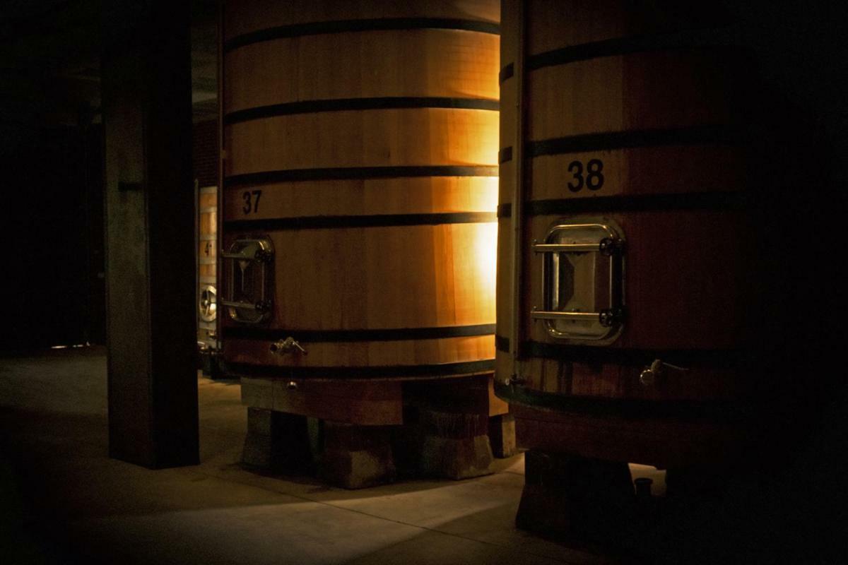Hotel Vinicola Real-200 Monges Альбельда-де-Ирегуа Экстерьер фото