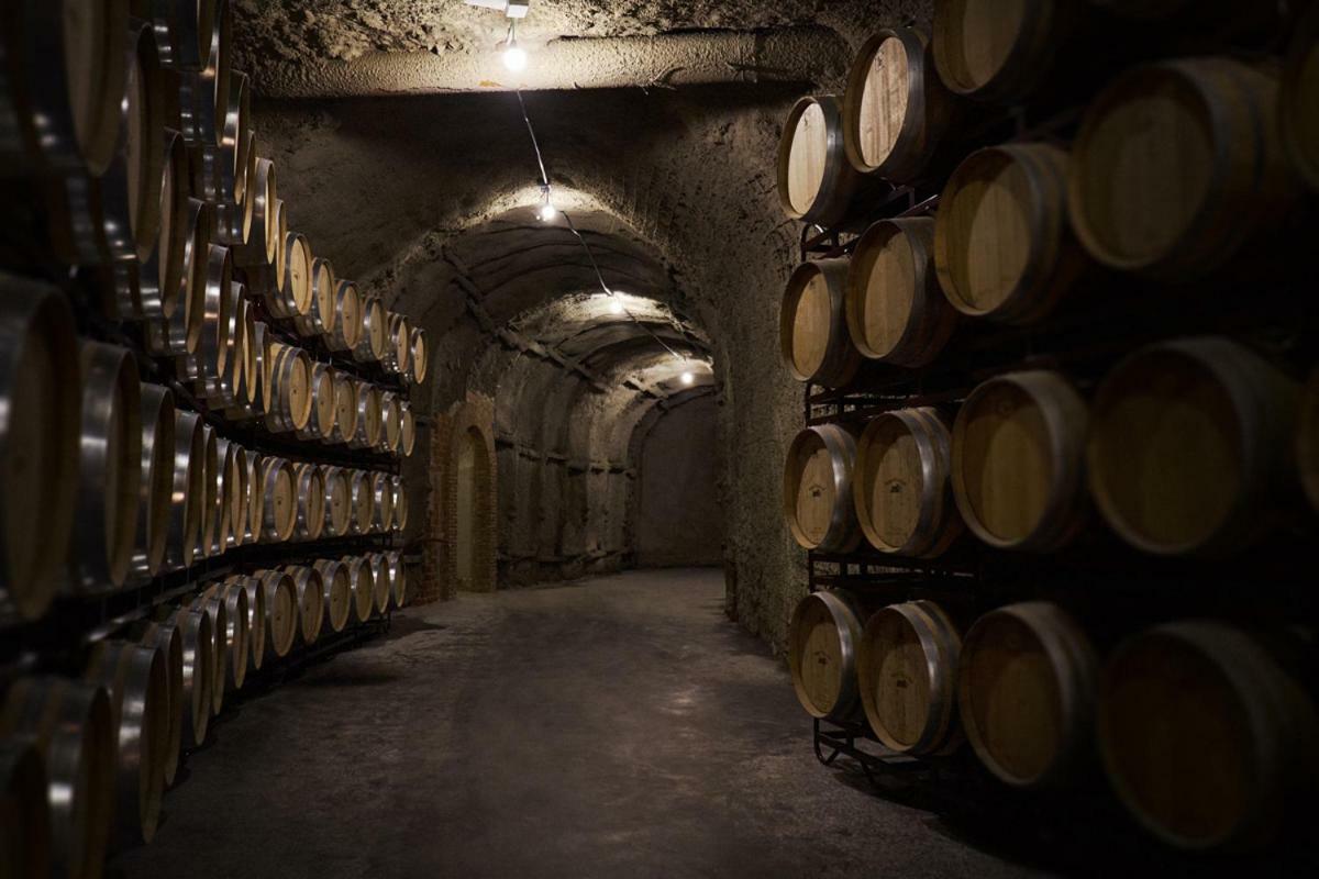 Hotel Vinicola Real-200 Monges Альбельда-де-Ирегуа Экстерьер фото